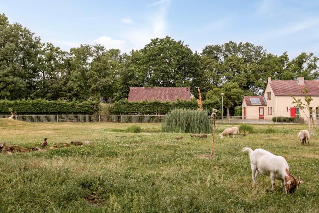 Vakantiehuis Aan Het Water -Incl Laadpaal- Ewijk Luaran gambar